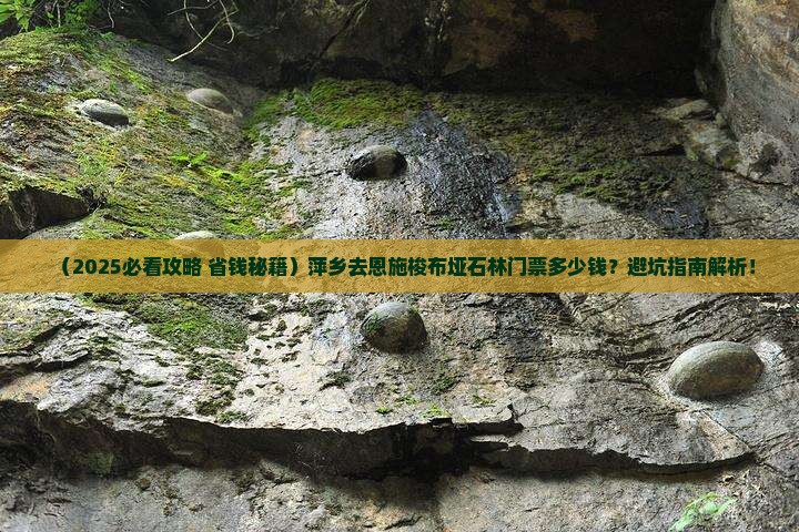 萍乡去恩施梭布垭石林门票