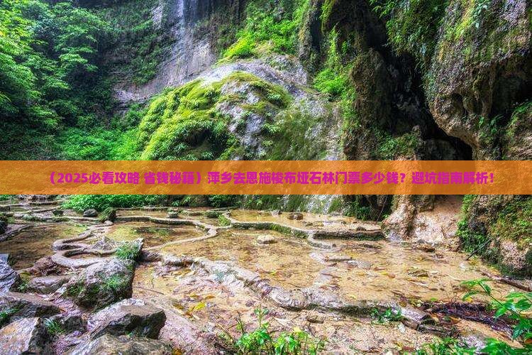 萍乡去恩施梭布垭石林门票