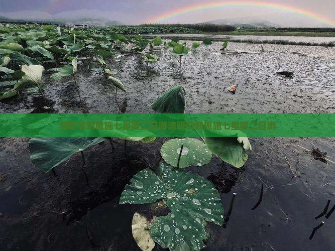 清明节到恩施七星寨二日游