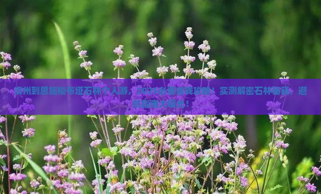 滨州到恩施梭布垭石林个人游