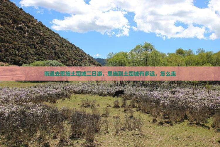 南通去恩施土司城二日游