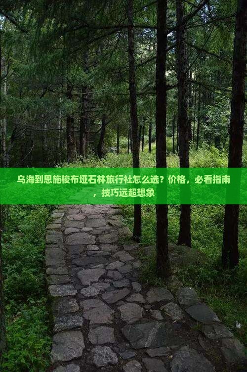 乌海到恩施梭布垭石林旅行社