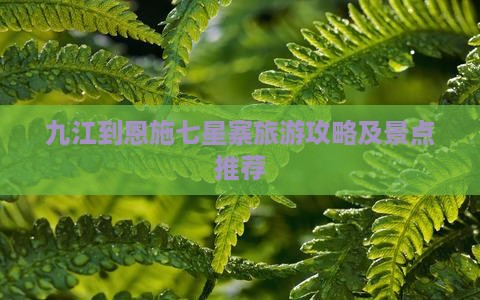 九江到恩施七星寨攻略