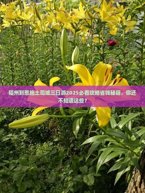 福州到恩施土司城三日游