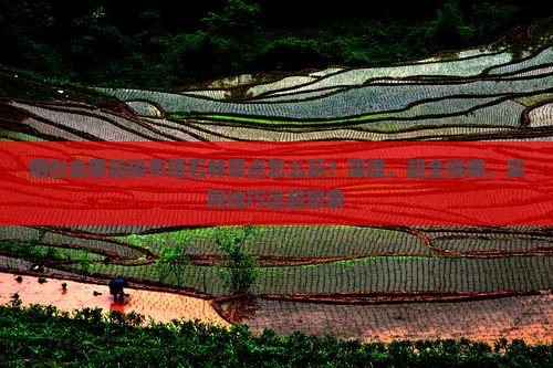 烟台去恩施梭布垭石林景点