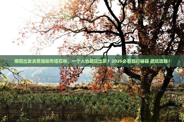 南阳到恩施梭布垭石林个人游