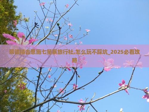 景德镇去恩施七星寨旅行社