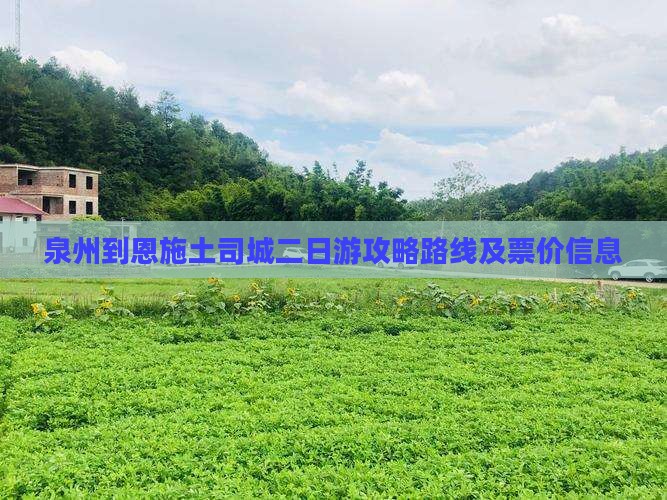泉州到恩施土司城二日游