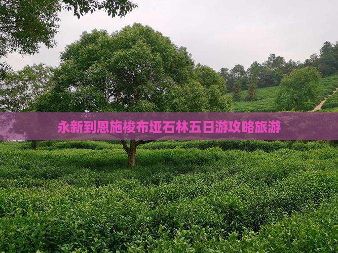 永新到恩施梭布垭石林五日游