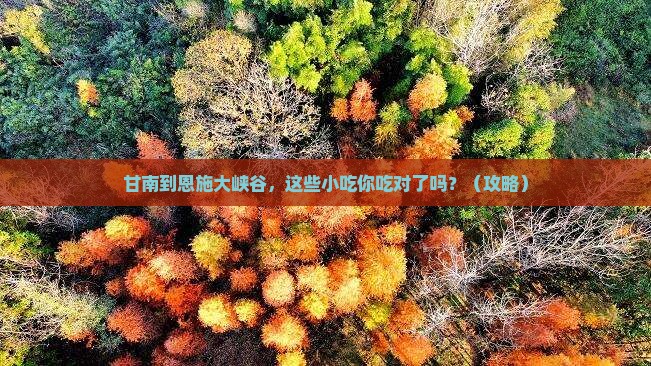 甘南到恩施大峡谷旅游小吃
