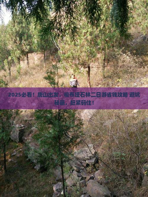 唐山去恩施梭布垭石林二日游