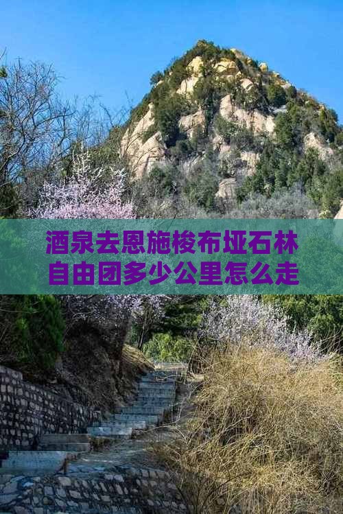 酒泉去恩施梭布垭石林自由团