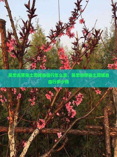 吴忠去恩施土司城自由行
