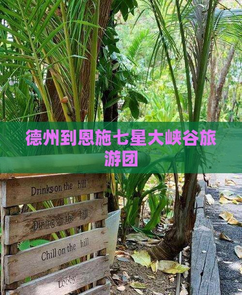 德州到恩施七星寨大型旅游团