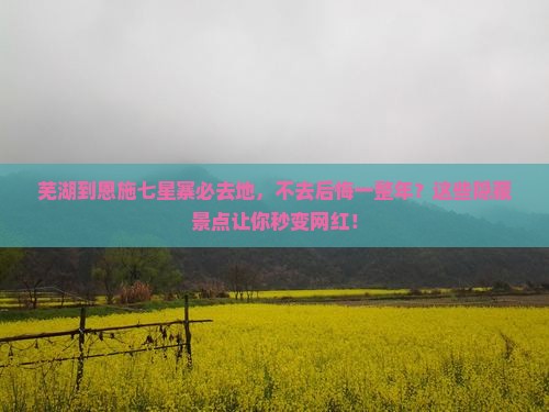 芜湖到恩施七星寨必去地