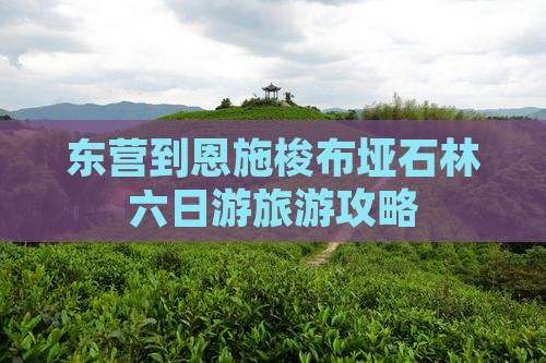 东营去恩施梭布垭石林六日游