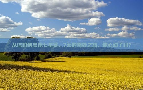 信阳去恩施七星寨七日游