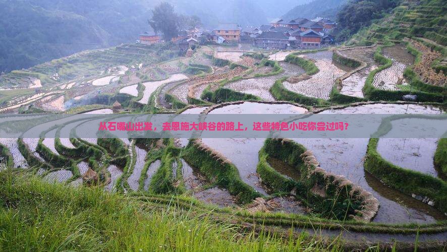 石嘴山去恩施大峡谷旅游小吃