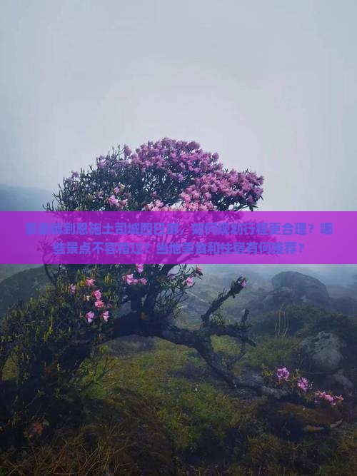 景德镇到恩施土司城四日游