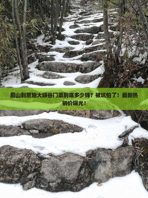 眉山到恩施大峡谷门票