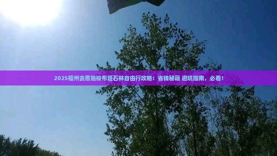 福州去恩施梭布垭石林自由行