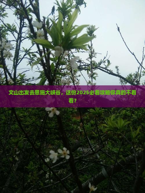 文山去恩施大峡谷自由行