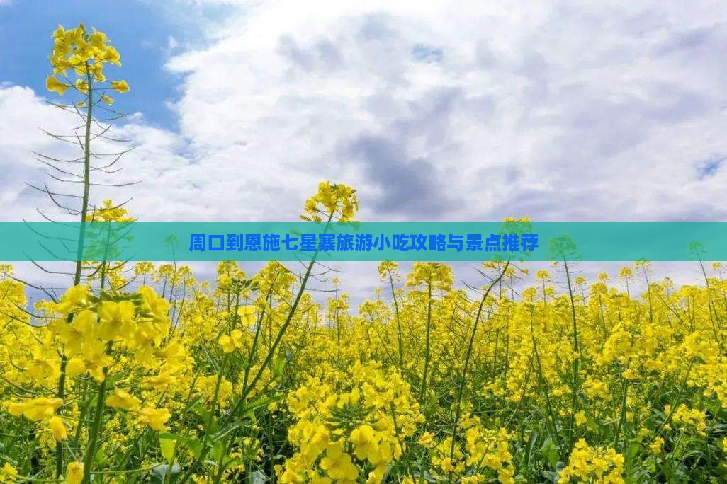 周口到恩施七星寨旅游小吃