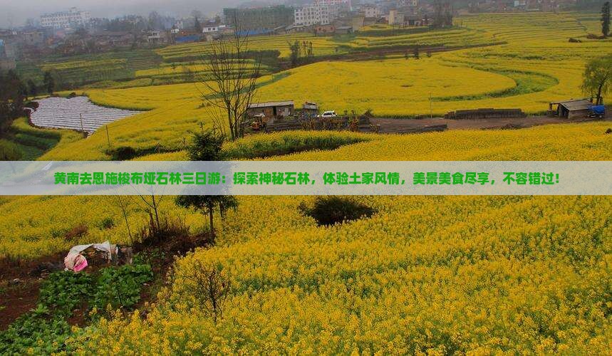 黄南去恩施梭布垭石林三日游