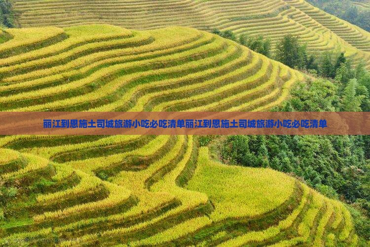 丽江到恩施土司城旅游小吃