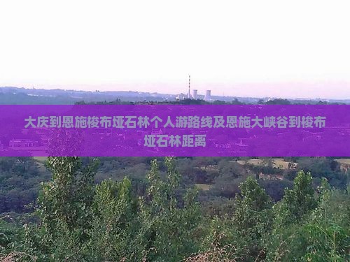 大庆到恩施梭布垭石林个人游