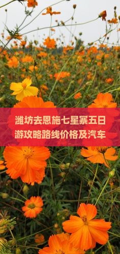 潍坊去恩施七星寨五日游
