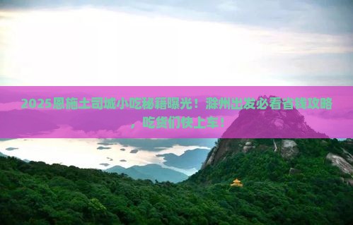 滁州去恩施土司城旅游小吃