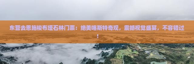 东营去恩施梭布垭石林门票