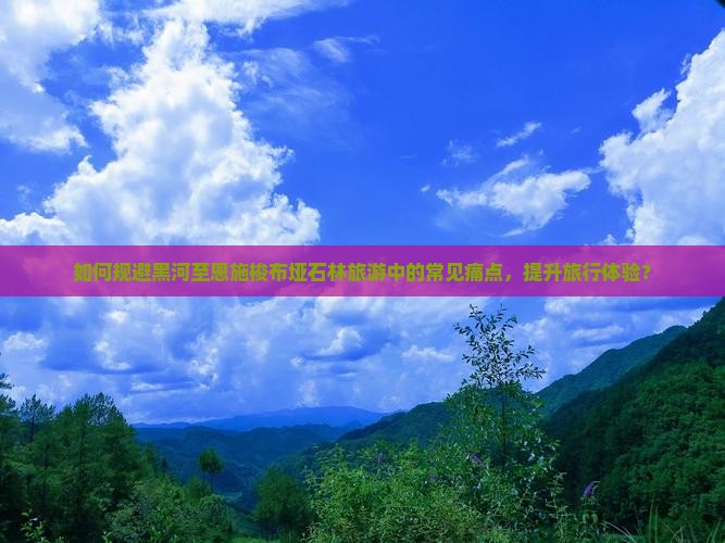 如何规避黑河至恩施梭布垭石林旅游中的常见痛点，提升旅行体验？
