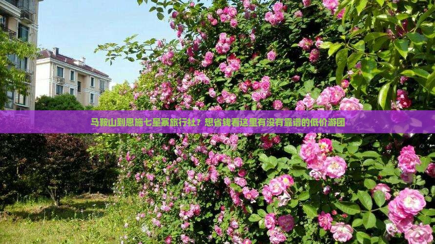 马鞍山到恩施七星寨旅行社？想省钱看这里有没有靠谱的低价游团