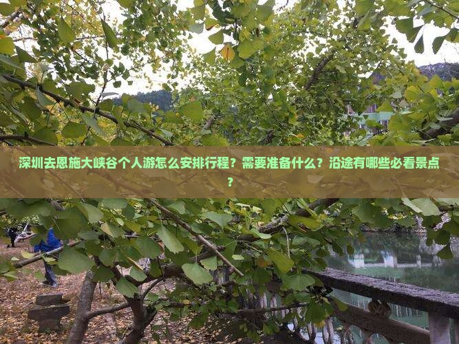 深圳去恩施大峡谷个人游怎么安排行程？需要准备什么？沿途有哪些必看景点？