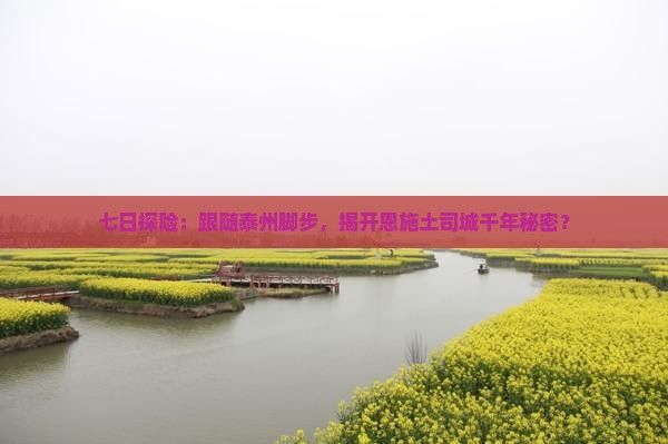 七日探险：跟随泰州脚步，揭开恩施土司城千年秘密？