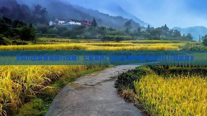 《铜川出发恩施旅行攻略：七星寨热门景点推荐与国内旅行社行程信息》