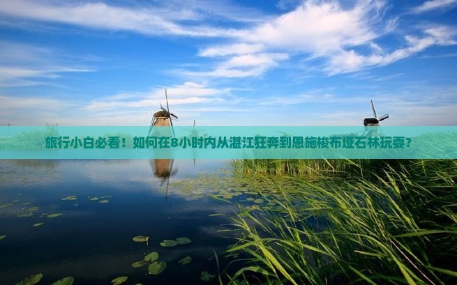 旅行小白必看!如何在8小时内从湛江狂奔到恩施梭布垭石林玩耍? 旅行小白必看!如何在8小时内从湛江狂奔到恩施梭布垭石林玩耍?