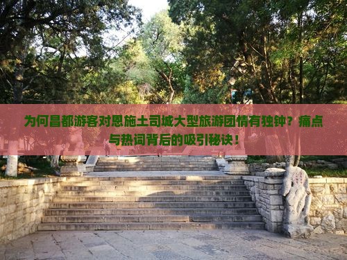 为何昌都游客对恩施土司城大型旅游团情有独钟?痛点与热词背后的吸引秘诀! 为何昌都游客对恩施土司城大型旅游团情有独钟?痛点与热词背后的吸引秘诀!