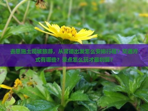 去恩施土司城旅游，从常德出发怎么安排行程？交通方式有哪些？景点怎么玩才最划算？