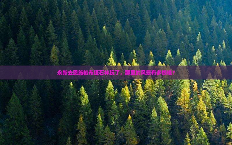 永新去恩施梭布垭石林玩了，那里的风景有多惊艳？