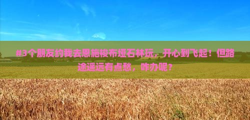 #3个朋友约我去恩施梭布垭石林玩,开心到飞起!但路途遥远有点愁,咋办呢? #3个朋友约我去恩施梭布垭石林玩,开心到飞起!但路途遥远有点愁,咋办呢?