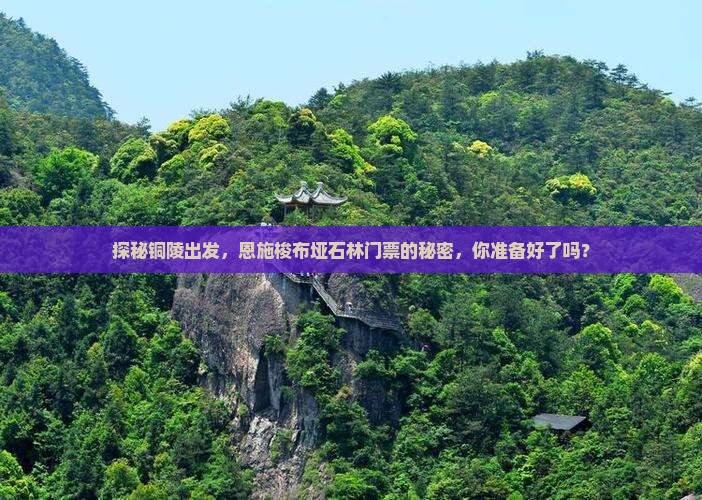 铜陵到恩施梭布垭石林门票