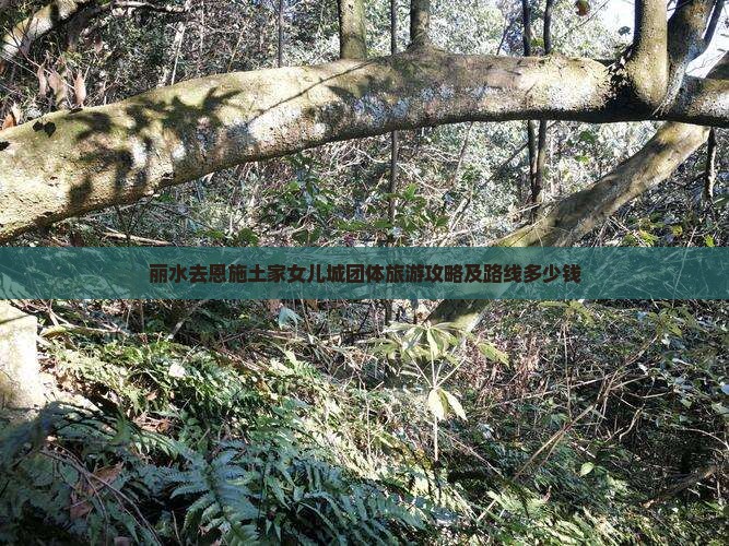 丽水去恩施土家女儿城团体旅游