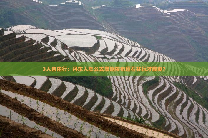 丹东去恩施梭布垭石林自由团