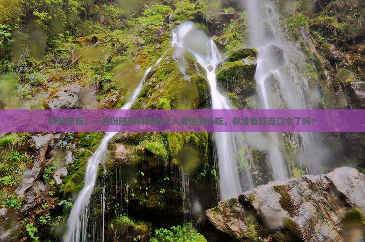 一月到恩施腾龙洞旅游小吃
