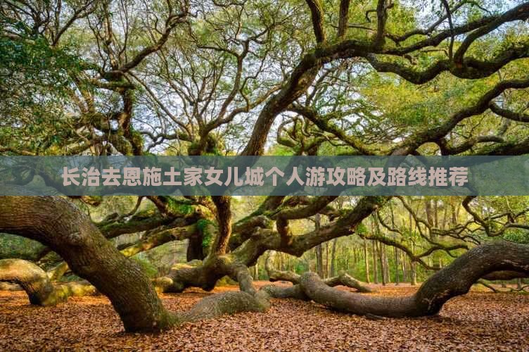 长治去恩施土家女儿城个人游
