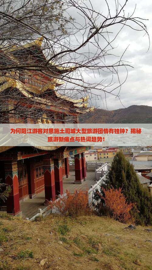 阳江去恩施土司城大型旅游团