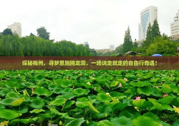 梅州去恩施腾龙洞自由行